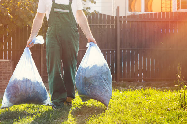 Best Basement Cleanout Services  in Villas, FL